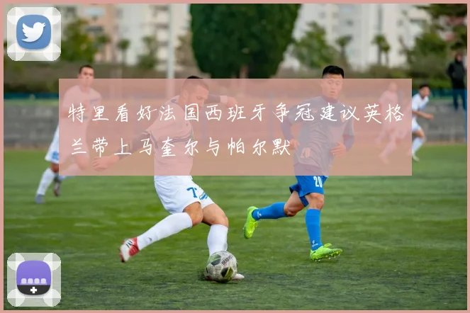 特里看好法国西班牙争冠建议英格兰带上马奎尔与帕尔默