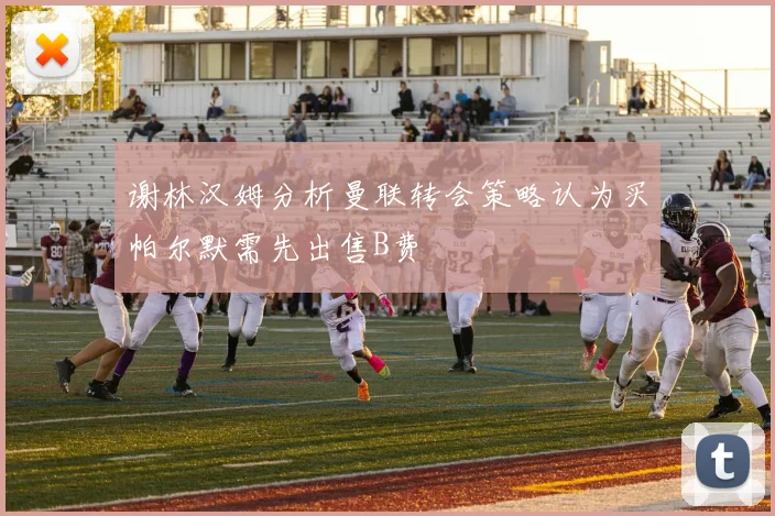 谢林汉姆分析曼联转会策略认为买帕尔默需先出售B费