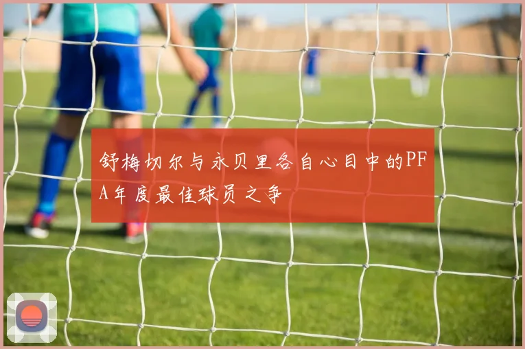 舒梅切尔与永贝里各自心目中的PFA年度最佳球员之争